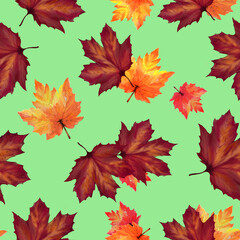 Naklejka na ściany i meble Аutumn seamless pattern with colorful maple leaves. Hand-drawn illustration