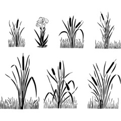 Cat Tails Pond Grass Stencil Vector