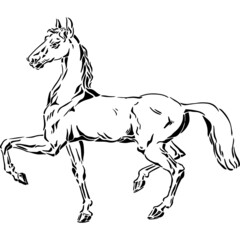 Horse Stencil Vector