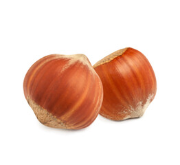 Tasty organic hazelnuts on white background. Healthy snack