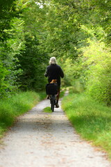 auf dem Radweg. Älterer Mann auf dem Fahrrad von hinten mit kleinem Hund im Korb