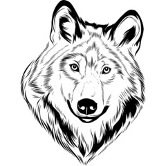 Naklejka premium Wolf