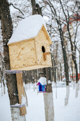 birdhouse on a tree in a winter park. Feeding birds in winter.