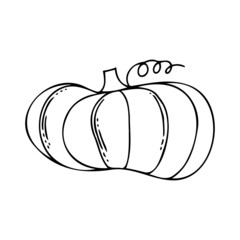 Isolated vector black and white illustration of decorative lined silhouette of pumpkin