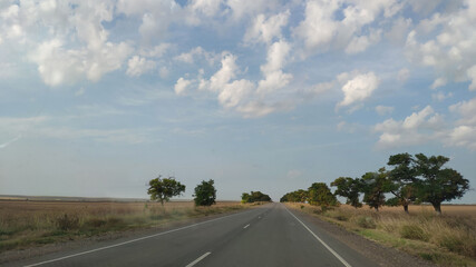 Crimean peninsula. August landscape in the western part of the steppe Crimea.