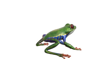 Amazonas-Laubfrosch - Rote Augen. 3D-Rendering-Illustration.
