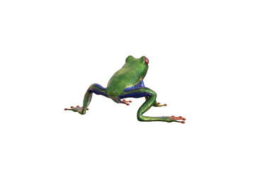 Amazonas-Laubfrosch - Rote Augen. 3D-Rendering-Illustration.