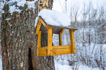 Naklejka premium bird feeders on tree in snow