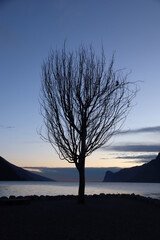 PANORAMA DEL LAGO DI GARDA AL TRAMONTO