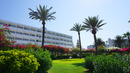 resort town hotel grounds lawns palm trees bushes blue sky vacation vacation