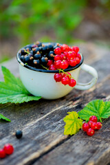 black and red currant berries in a white mug. High quality photo