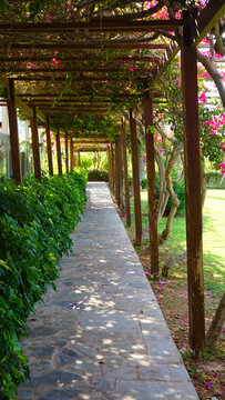 Berso is a garden and park structure, a gallery, a passage formed by vertical walls of the trellis type for climbing plants and a vaulted ceiling of the alley. summer vacation garden