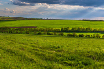 Fototapeta na wymiar Farmlands and meadows in the Moldavian, Republic of Moldova.
