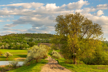 Fototapeta na wymiar Farmlands and meadows in the Moldavian, Republic of Moldova.