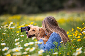 Spain, Mallorca, Woman with Golden Retriever taking selfie in blooming meadow
