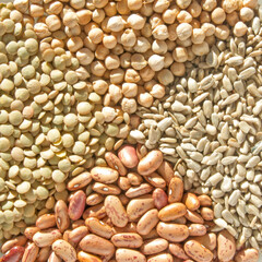 Grains (diagonal macro)