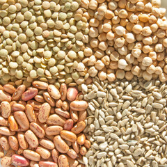 Grains (square macro)