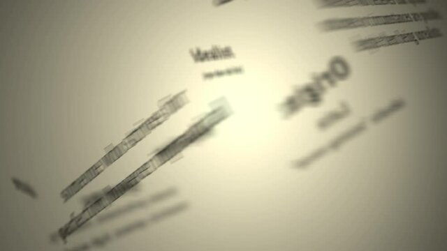 Definition: Idealist