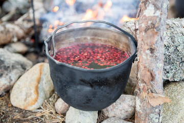 Wild berries - cranberries and lingonberries. Fruit drink in a pot on the fire.