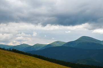 Obraz premium Large grassy meadow, slopes and forested hillsides of Carpathians. golden field in mountains with green trees against sky 