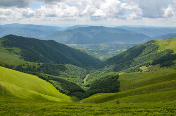 Naklejka premium Green fields and mountains, blue sky with clouds. Carpathian mountains in late summer. Carpathians, Ukraine