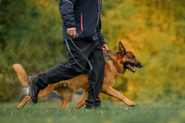 a man walking with a german shepherd