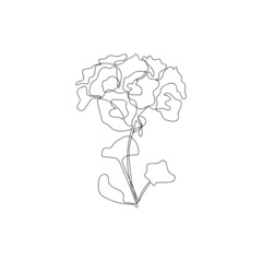 Continuous one line geranium, pelargonium flower. Moden style flower for logo, icon emblem or web banner. Hand drawn minimalism style vector illustration.