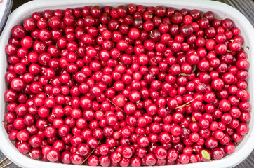 Wild berries - cranberries, lingonberries, blueberries. Close-up.