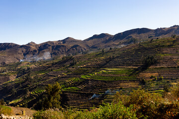 Andener&iacute;a de Puquina, Moquegua 