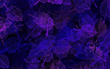 Dark Purple, Pink vector natural backdrop with leaves.