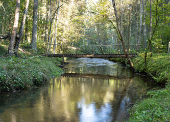 Bridge over the river in the green forest