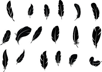 Big set of bird feathers design. fluffy swan. soft bird plumage set. Pen icons design. set of bird feathers design