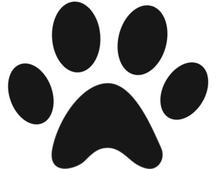 Puppy Paw Print Vector