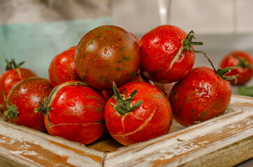 Fresh organic ripe red cherry tomatoes on the woooden frame. Fresh water drops. Frontal view.