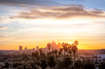 Sunset through the palm trees, Los Angeles, California.