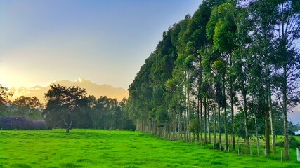 Nature and city landscapes