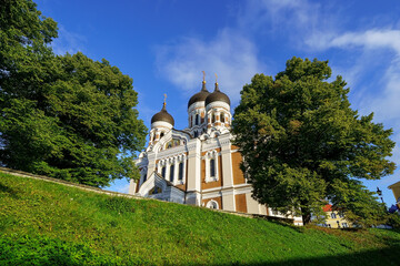 Fototapeta na wymiar Tallinn Orthodox Cathedral emerging from the trees of a public park.