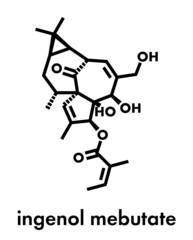 ingenol mebutate (ingenol-3-angelate) actinic keratosis treatment drug molecule. Skeletal formula.