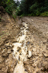 Muddy forest road with traces of forest harvesting vehicle tires