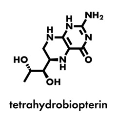 Tetrahydrobiopterin (sapropterin) phenylketonuria drug molecule. Cofactor to a number of aromatic amino acid hydroxylase enzymes. Skeletal formula.