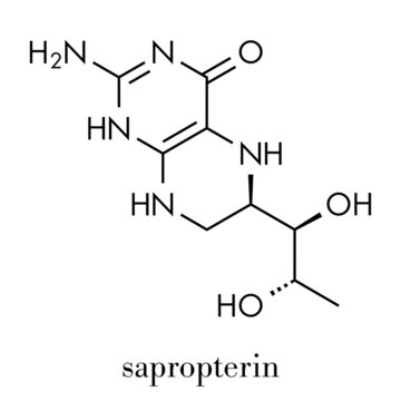 Tetrahydrobiopterin (sapropterin) phenylketonuria drug molecule. Cofactor to a number of aromatic amino acid hydroxylase enzymes. Skeletal formula.