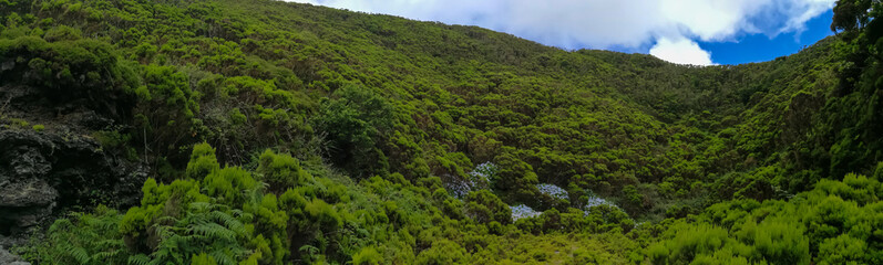 Fototapeta na wymiar Detail of typical landscape in the Azores archipelago, Portugal