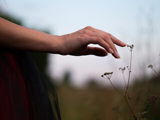 woman touching plant