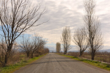 Fototapeta premium Road in early spring near Khor Virap, Armenia
