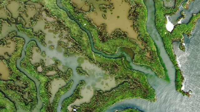 Top down view of scenic green wetland with complex pattern of intermediate ridges and peat bog pools.
