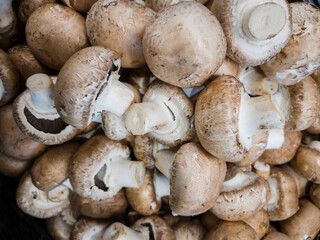 mushrooms