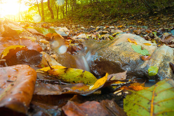 Small water spring with colorful rocks and autumn fallen leaves, long exposure