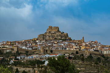 Morella