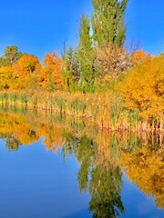 Beautiful autumn day with a visible moon during the day.