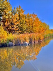 Beautiful autumn day with a visible moon during the day.